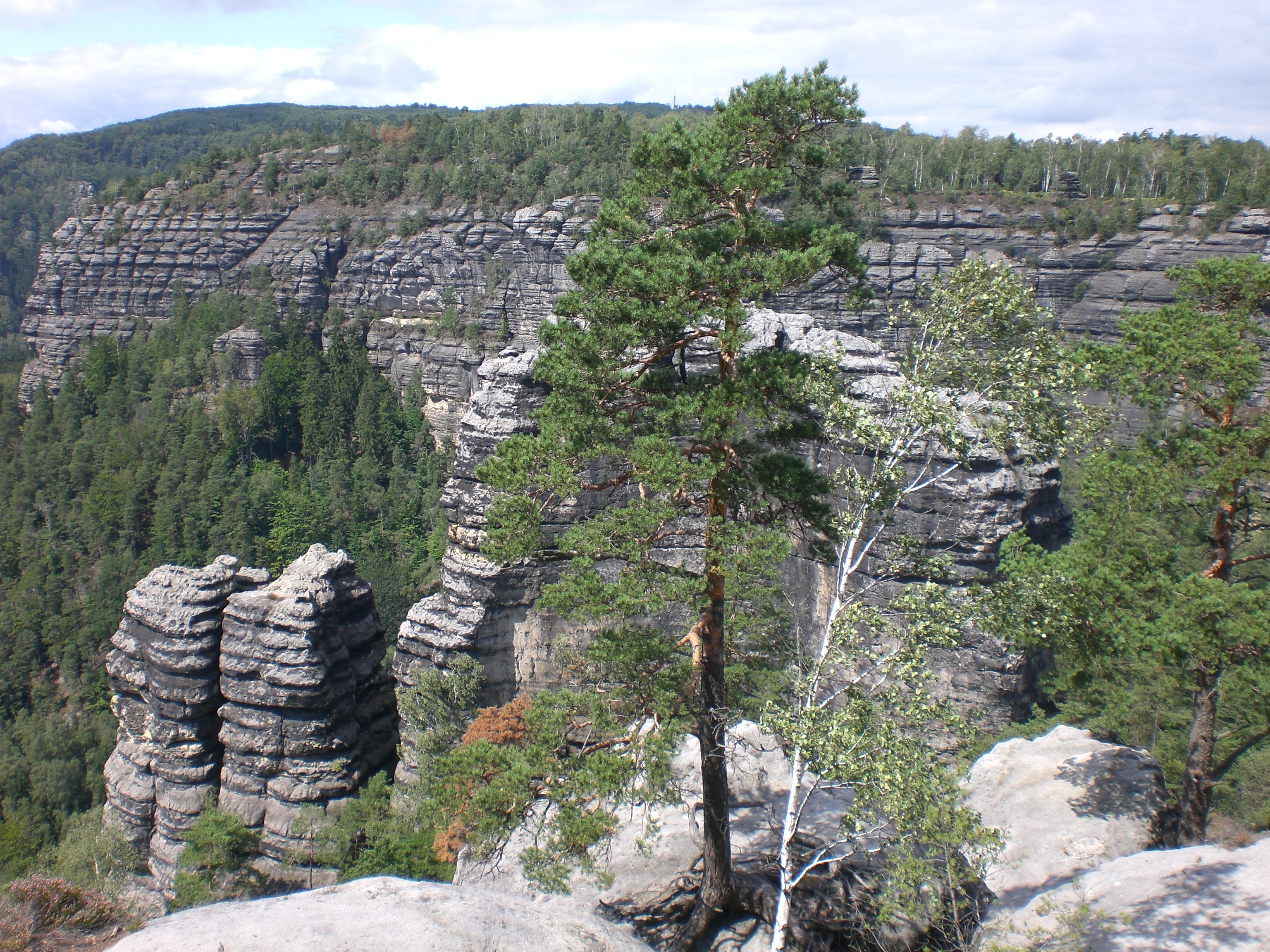 Blick in den Nationalpark Sächsische Schweiz